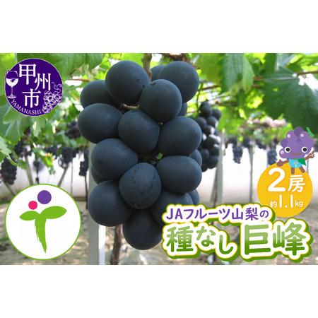 ふるさと納税 JAフルーツ山梨 甲州市産種なし巨峰2房【80】【2026年発送】B-104 巨峰 フ...