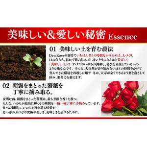 ふるさと納税 DewRose JAM(ローズジ...の詳細画像3