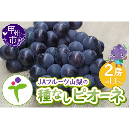 ふるさと納税 JAフルーツ山梨 甲州市産種なしピオーネ2房【80】【2026年発送】B-105 ピオ...