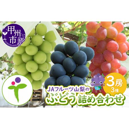 ふるさと納税 JAフルーツ山梨 甲州市産ぶどう詰め合わせ3房【80】【2026年発送】B2-103 ...