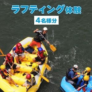 ふるさと納税 那珂川ネイチャーラフティング 体験...の商品画像