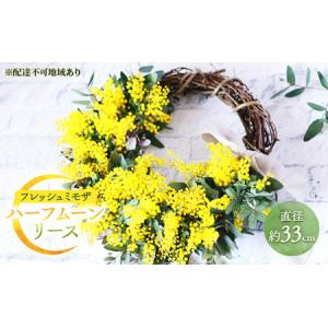 ミモザ 生花 の商品一覧 花 ガーデニング 通販 Yahoo ショッピング