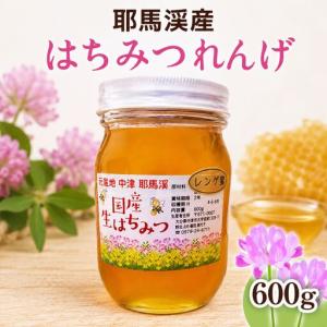 ふるさと納税 中津・耶馬渓のはちみつ れんげ 600g × 1瓶 時田養蜂場 | 国産 蜂蜜 はちみつ ハチミツ レンゲ 蓮華 瓶 大分県産 九州産 大分.. 大分県中津市