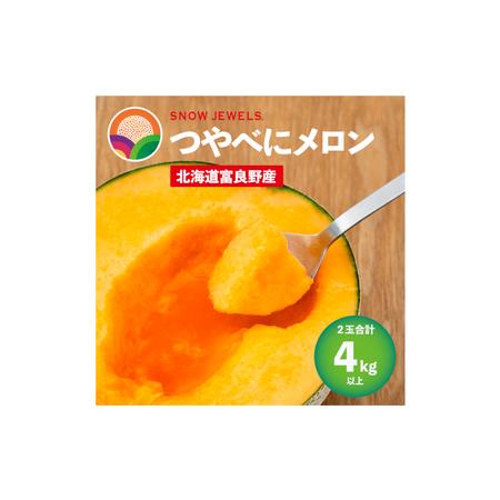 ふるさと納税 【 2024年7〜8月発送】 先行受付 北海道 富良野産 赤肉 つやべに メロン 2玉...