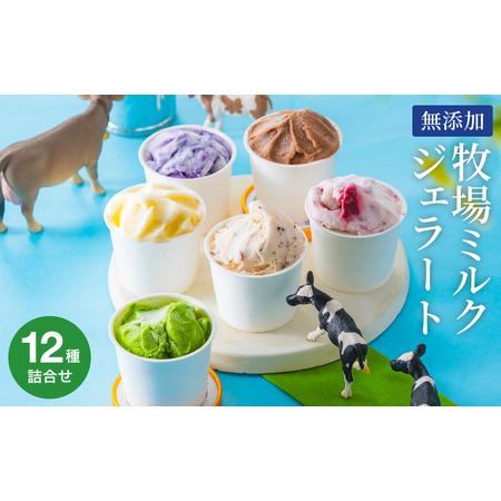 ふるさと納税 牛飼いのジェラートセット 12種詰め合わせ / 無添加 スイーツ ジェラート シャーベ...