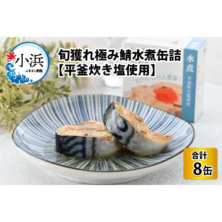 ふるさと納税 旬獲れ極み鯖水煮缶詰 【平釜炊き塩使用】 8缶 サバ缶 おつまみ 保存食 [A-003...