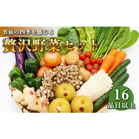 ふるさと納税 贅沢 野菜 セット どっさり 16品目以上 季節の野菜 フルーツ キノコ 詰め合わせ ...