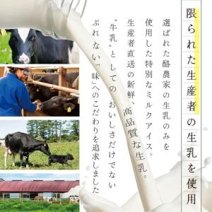 ふるさと納税 【毎月定期便】THE ICE 業...の詳細画像1