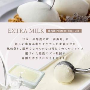 ふるさと納税 【毎月定期便】THE ICE 業...の詳細画像2