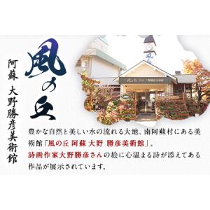 ふるさと納税 大野勝彦<2018年発行>詩画集...の詳細画像1