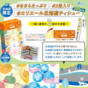 ふるさと納税 ボックスティッシュ エリエール北...の詳細画像4