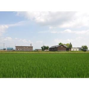 ふるさと納税 【木と暮らしの工房】木座チェアー...の詳細画像4