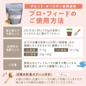 ふるさと納税 【イングリッシュローズ】 デビッ...の詳細画像3