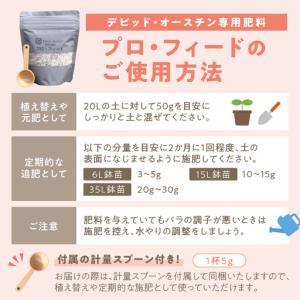 ふるさと納税 【イングリッシュローズ】 デビッ...の詳細画像3