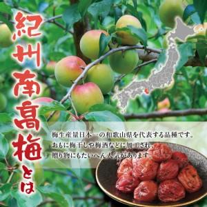 ふるさと納税 訳あり 紀州南高梅 <つぶれ梅>...の詳細画像1