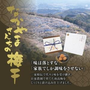 ふるさと納税 訳あり 紀州南高梅 <つぶれ梅>...の詳細画像2