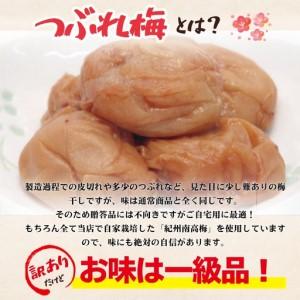 ふるさと納税 訳あり 紀州南高梅 <つぶれ梅>...の詳細画像3