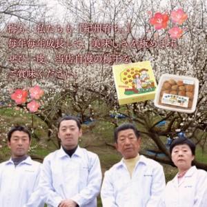 ふるさと納税 訳あり 紀州南高梅 <つぶれ梅>...の詳細画像4