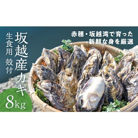 ふるさと納税 メディアでも話題の生食用カキ！赤穂・坂越湾で育った新鮮な身を厳選(坂越産カキ 生食用 ...