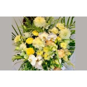 ふるさと納税 【店頭受取限定】祝い花（季節の生花アレンジ） 東京都渋谷区