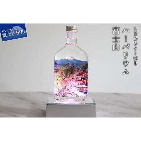 ふるさと納税 【LEDライト付】ハーバリウム 富士山 山梨県富士吉田市