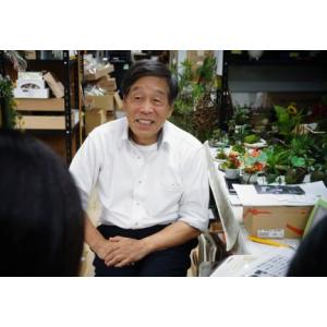 ふるさと納税 高級インテリアグリーン Lサイズ...の詳細画像4