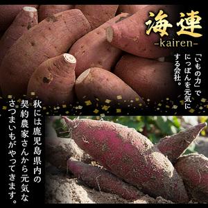 ふるさと納税 <定期便・全6回(隔月)>鹿児島...の詳細画像1