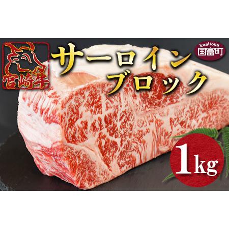 ふるさと納税 ＜宮崎牛 サーロインブロック 1kg＞翌月末迄に順次出荷【a0333_ty】 宮崎県国...