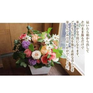 ふるさと納税 お花 定期便 (毎月1回) 12...の詳細画像2