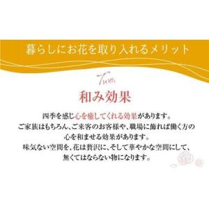 ふるさと納税 お花 定期便 (毎月1回) 12...の詳細画像4