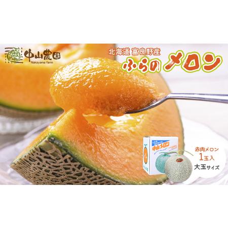 ふるさと納税 【2026年夏発送】北海道 富良野産 赤肉メロン 1玉 大玉サイズ (中山農園) メロ...