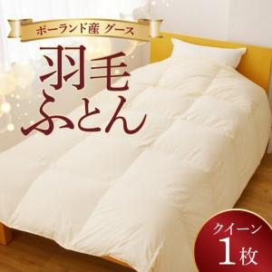 ふるさと納税 羽毛布団 1枚 ポーランド産グース...の商品画像