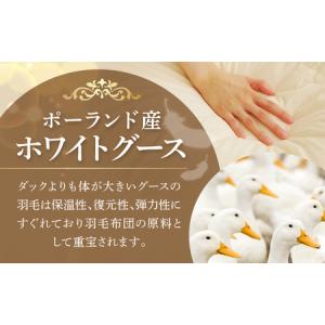 ふるさと納税 羽毛布団 1枚 ポーランド産グー...の詳細画像1