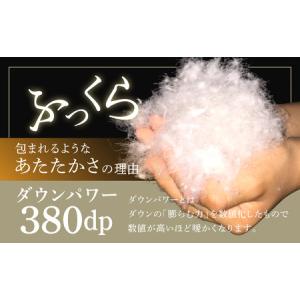 ふるさと納税 羽毛布団 1枚 ポーランド産グー...の詳細画像2