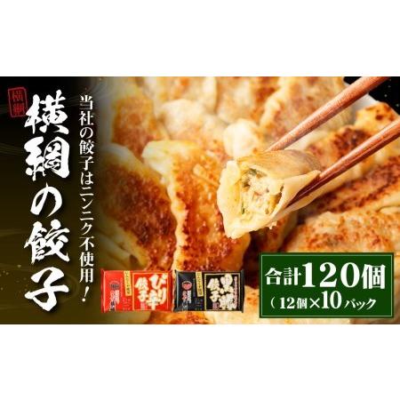 ふるさと納税 【ラーメン横綱】横綱の餃子はニンニク不使用！ぴり辛餃子・黒豚餃子 各5パックセット 京...