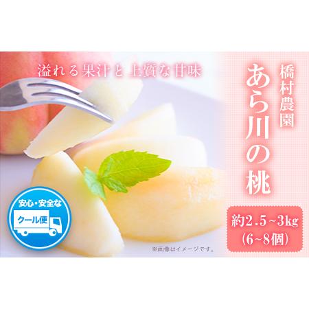 ふるさと納税 【先行予約】【大玉】 あら川の桃 約2.5kg-3kg(6-8個※1個300g以上)橋...
