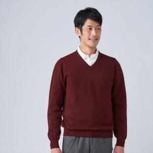 ふるさと納税 日本製 カシミヤ100% Vセーター ワイン 2Lサイズ [2632] 大阪府泉大津市
