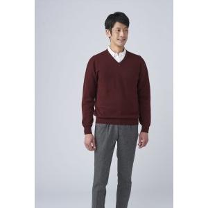 ふるさと納税 日本製 カシミヤ100% Vセー...の詳細画像1