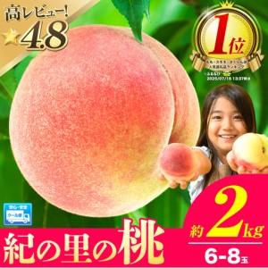 ふるさと納税 高レビュ-!! 桃 紀の里の 桃 約2kg 和歌山県紀の川市
