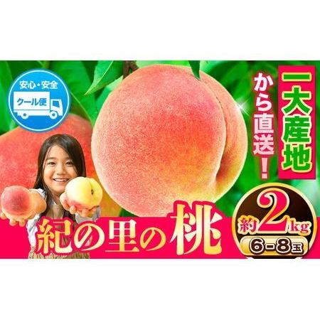 ふるさと納税 桃 もも 和歌山県産 紀の里の桃 約2kg 送料無料 6〜8玉入り《2024年6月中旬...