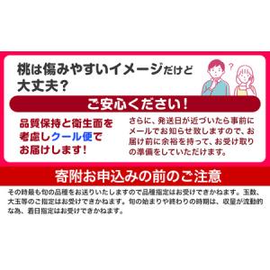 ふるさと納税 高レビュ-!! 桃 紀の里の 桃...の詳細画像3