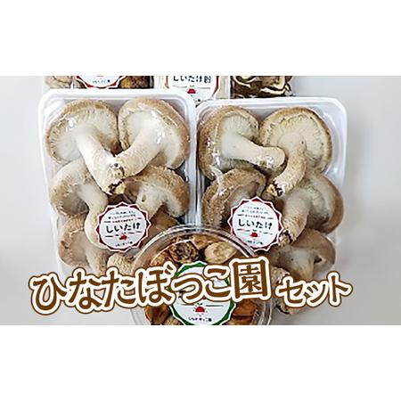 ふるさと納税 ひなたぼっこ園セット [No.383] 岐阜県山県市