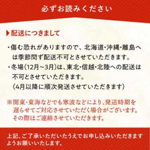 ふるさと納税 胡蝶蘭 大輪 白 ( 5本立 )...の詳細画像4