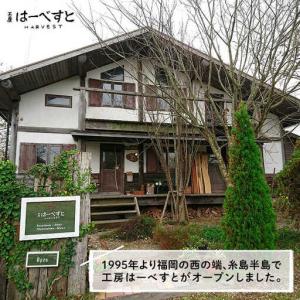 ふるさと納税 A ライン テーブル ( A )...の詳細画像3