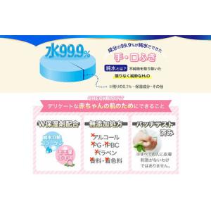 ふるさと納税 ウェットティッシュ 手口ふき 水...の詳細画像3