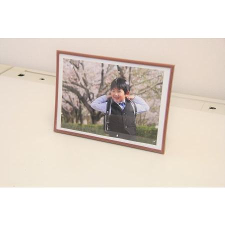 ふるさと納税 【お宮参り七五三などの付き添いでの撮影！】二科展写真作家が撮影！碧南市内での記念撮影 ...