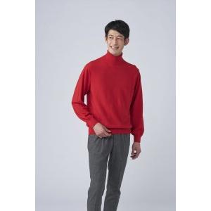 ふるさと納税 日本製 カシミヤ100% タート...の詳細画像1