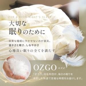 ふるさと納税 【大東寝具】快眠のための最高級羽...の詳細画像1
