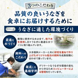 ふるさと納税 うなぎ 蒲焼 うなぎ [最速便 ...の詳細画像2