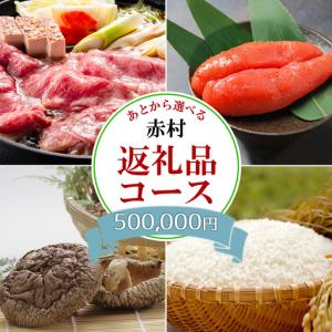 ふるさと納税 あとから選べる返礼品【５０万円コース】 福岡県赤村